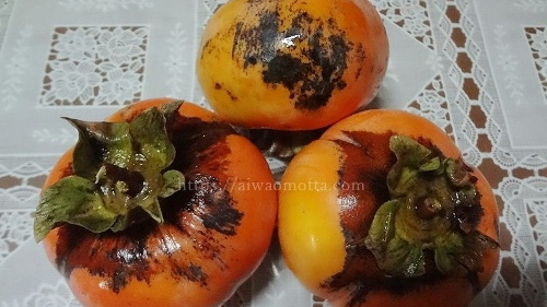 黒い柿の実3個の画像